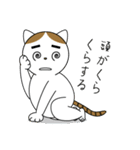 粗眉貓吉（個別スタンプ：20）