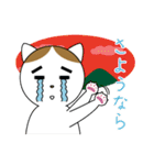 粗眉貓吉（個別スタンプ：24）