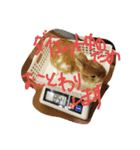 うさぎのとら丸（個別スタンプ：7）