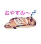フレンチブルドックのせせりさん1（個別スタンプ：6）