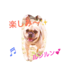 フレンチブルドックのせせりさん1（個別スタンプ：15）