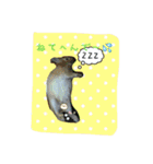 ラパンフレンズpart2（個別スタンプ：3）