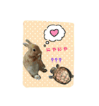 ラパンフレンズpart2（個別スタンプ：11）