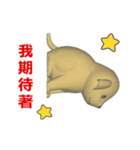 (In Chinene) CG Dog baby (1)（個別スタンプ：12）