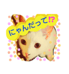 にゃんこの世界2（個別スタンプ：6）