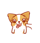 Corgi Dog Kaka - animated sticker vol. 2（個別スタンプ：3）