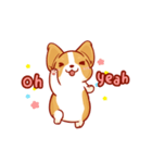 Corgi Dog Kaka - animated sticker vol. 2（個別スタンプ：5）