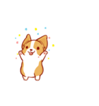 Corgi Dog Kaka - animated sticker vol. 2（個別スタンプ：9）