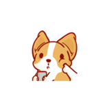 Corgi Dog Kaka - animated sticker vol. 2（個別スタンプ：13）