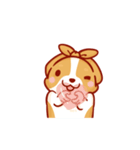 Corgi Dog Kaka - animated sticker vol. 2（個別スタンプ：14）