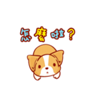 Corgi Dog Kaka - animated sticker vol. 2（個別スタンプ：18）