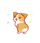 Corgi Dog Kaka - animated sticker vol. 2（個別スタンプ：20）