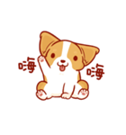 Corgi Dog Kaka - animated sticker vol. 2（個別スタンプ：22）