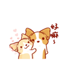 Corgi Dog Kaka - animated sticker vol. 2（個別スタンプ：23）