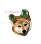 ひめの日常（個別スタンプ：7）