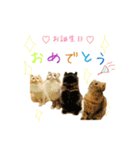日常で使えるにゃんこ達（個別スタンプ：9）