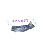 日常で使えるにゃんこ達（個別スタンプ：12）