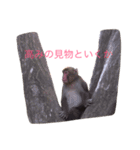 どうぶつたち 1（個別スタンプ：7）