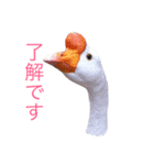 どうぶつたち 1（個別スタンプ：9）