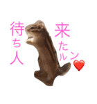 シマリス君（個別スタンプ：8）