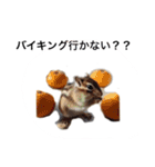 シマリス君（個別スタンプ：16）