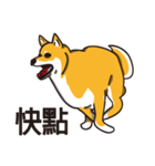 Mad Dog Kodi（個別スタンプ：8）