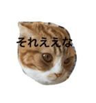 諭吉と源次郎 1（個別スタンプ：1）