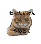 諭吉と源次郎 1（個別スタンプ：3）