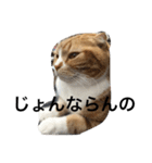 諭吉と源次郎 1（個別スタンプ：6）