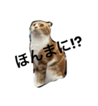 諭吉と源次郎 1（個別スタンプ：7）