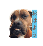 ハマダです…。（個別スタンプ：5）