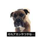 ハマダです…。（個別スタンプ：9）