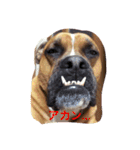 ハマダです…。（個別スタンプ：12）