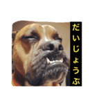 ハマダです…。（個別スタンプ：16）