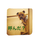 ハマダです…。（個別スタンプ：20）