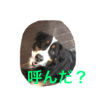 うちの潮音さん♡（個別スタンプ：5）