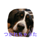 うちの潮音さん♡（個別スタンプ：9）