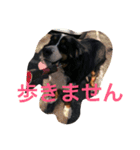 うちの潮音さん♡（個別スタンプ：14）