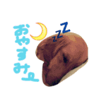 ゴールデン犬ティキくん（個別スタンプ：3）