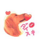 ゴールデン犬ティキくん（個別スタンプ：8）