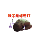 ChenChen（個別スタンプ：5）