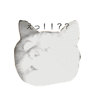 えだまめ猫（個別スタンプ：10）