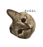 えだまめ猫（個別スタンプ：24）