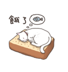 white eye yoga cat（個別スタンプ：3）