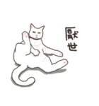 white eye yoga cat（個別スタンプ：4）