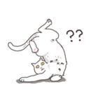 white eye yoga cat（個別スタンプ：5）