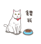 white eye yoga cat（個別スタンプ：7）