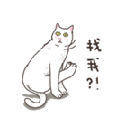 white eye yoga cat（個別スタンプ：9）