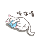 white eye yoga cat（個別スタンプ：12）