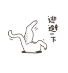 white eye yoga cat（個別スタンプ：15）